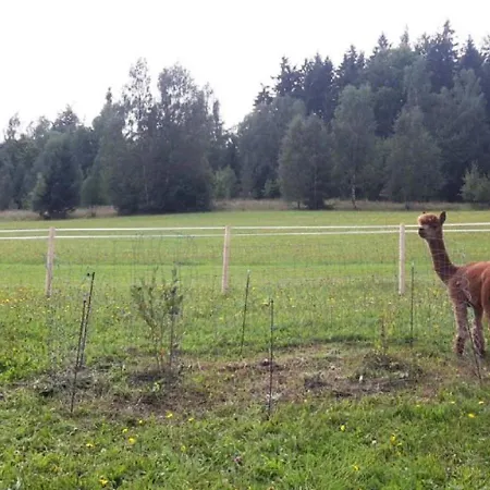 Stoagrawihof * Oberrosenauerwald