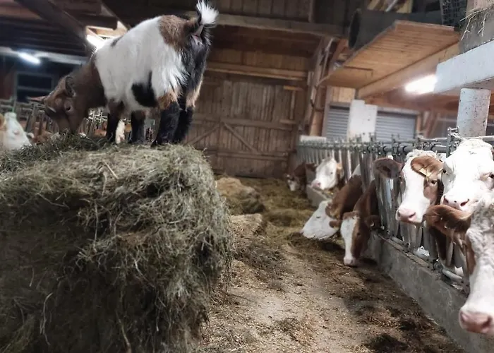 Διαμέρισμα Stoagrawihof Oberrosenauerwald